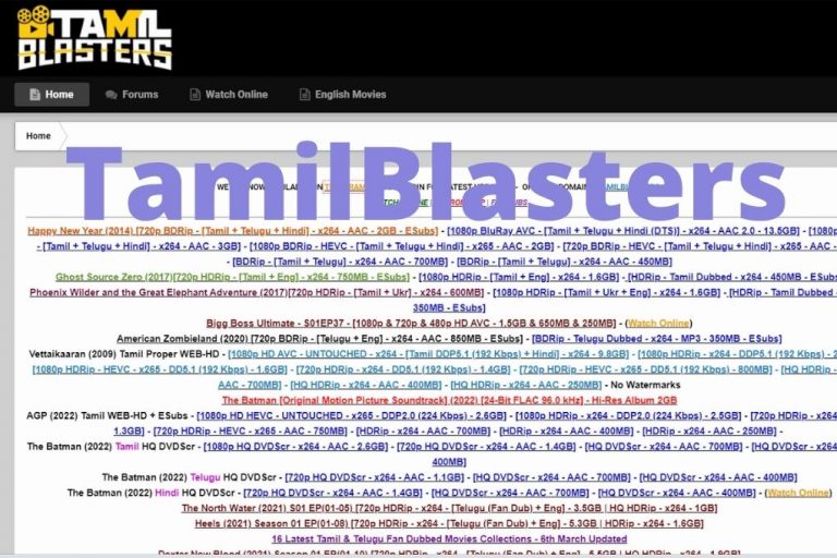 Key Updates On Tamilblasters New Link 2024 What You Need To Know